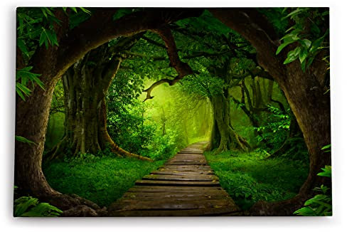 Paul Sinus Wandbild 120x80cm Grüner Wald Märchenhaft Bäume Holzweg Märchenwald