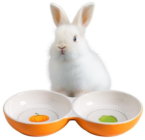 Navaris Gamelle Double Chaton - Lot 2X Gamelle Céramique pour Chatons Cochon d'Inde Lapin Chinchilla - 2X Bol pour Croquette Eau Pâtée pour Petit Animal de Compagnie