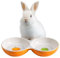 Navaris Twin Feeding Bowls for Small Pets - Durable Double Ceramic Bowl Set for Rabbits, Guinea Pigs - Ideal Food & Water for Kitten, Puppy - Space-Saving & Easy to Clean - Orange