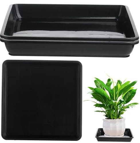 Soucoupes végétales pour l'intérieur, 3 pcs carrés de soucoupe plante en plastique, plateau de capteur d'eau végétal, plateaux d'égouttement de pot de plante, soucoupes de pot de plantes pour fleurs