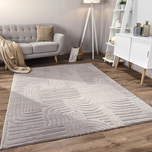 Paco Home Teppich Wohnzimmer Schlafzimmer Kurzflor Skandinavisches Boho Muster Geometrisch Rauten Motiv Einfarbig Weich Modern, Grösse:160x220 cm, Farbe:Grau 7