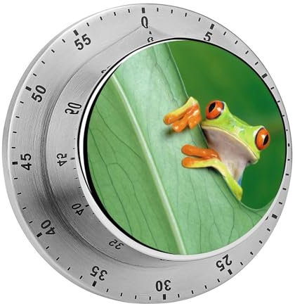 Küchentimer Niedlicher Frosch Countdown Magnetischer Timer Küchenuhr Für Kochen Sport Studieren 8cm