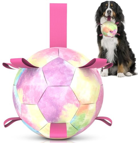 HETOO Hundespielzeug, Fußball, interaktives Spielzeug zum Tauziehen, Wasserspielzeug, langlebige Hundebälle für große Rassen, Regenbogen (22,9 cm)