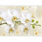 murando Photo Wallpaper Flowers Orchid 245 x 175 cm / 96.4 x 68.9 Peel and Stick Self-Adhesive Foil Print Wall Mural Nature b-B-0337-a-a