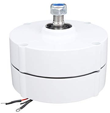 Synchronmotor, Permanentmagnet-Generator für Windkraftanlage, 12 V, 100 W, dreiphasiger Synchrongenerator NE-100 für industrielle Verwendung (Generator)