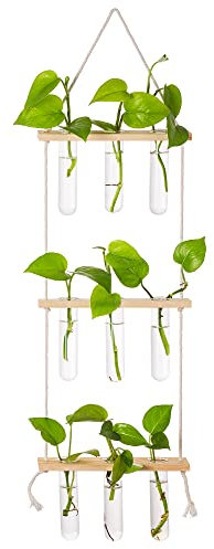 Hängende Vermehrungsstation Für Pflanzen Wand Pflanzgefäß Indoor Moderne Glas Reagenzglasvasen Für Blumen Mit Holzregal Für Vintage Room Decor Home Office Zubehör, 12 Reagenzgläser