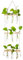 Hängende Vermehrungsstation Für Pflanzen Wand Pflanzgefäß Indoor Moderne Glas Reagenzglasvasen Für Blumen Mit Holzregal Für Vintage Room Decor Home Office Zubehör, 12 Reagenzgläser