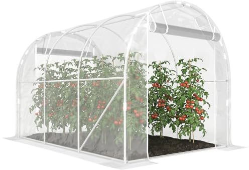 Outsunny Gewächshaus 3 x 2 x 2 m mit Stützstangen Winterfest Transparent | Breiter Rollbar Reißverschlusstür, Verlängerte Kanten, 150g/m² PE UV-beständig, Folientunnel, Tomatenhaus