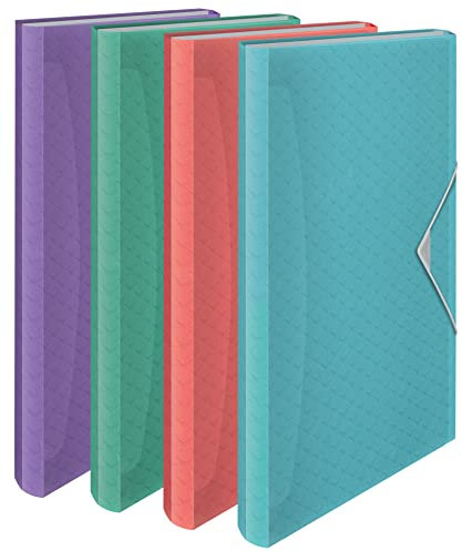 Esselte A4-Fächermappe, transparente Mappe mit 5 Registern/6 Fächern, zur Schreibtischorganisation mit Prägemuster, Colour'Breeze Serie, Mehrfarbig, 626254