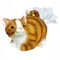mikamax - Cat Tissue Holder - Katzenpapierhalter - Taschentuchbox - 30 x 23 x 23 cm - Cat Lover Gadgets - Katzengeschenk