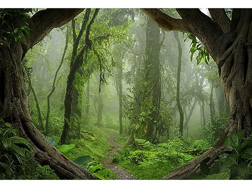 YongFoto 1,5x1m Polyester Foto Hintergrund Grüne Wald Dschungel Ansicht Große alte Bäume Schmalen Pfad Fotografie Hintergrund Backdrop Fotostudio Hintergründe Requisiten