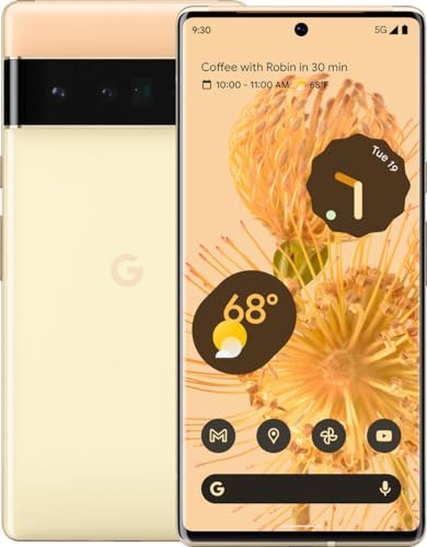 Google Pixel 6 Pro 5G - Smartphone 128GB, 12GB RAM, Single Sim, Sunny (Reconditionné)