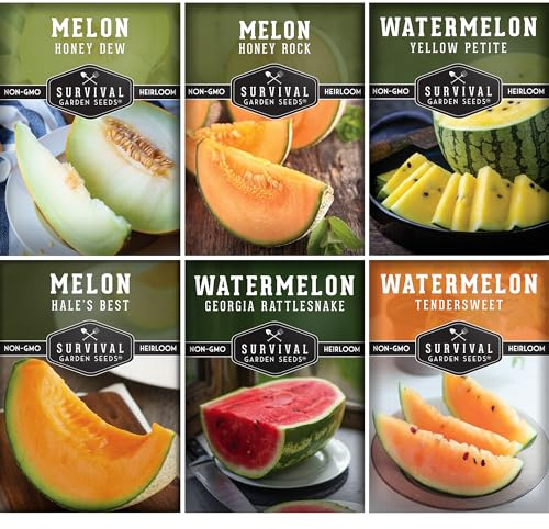 Paquete variado de semillas de melón, 6 tipos de melón, melón y sandía para plantar, con Honey Rock, Hale's Best, Tendersweet, Georgia Rattlesnake Survival Garden Seeds