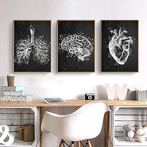 HMXQLW Menschliche Anatomie Vintage Wandbilder Schwarz Weiß Bilder kunstdrucke Arzt Büro Deko,Leinwandbilder Poster und Drucke Wandkunst Medizinische Rahmenlos (3X40x50cm)