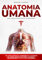 Anatomia Umana: Una Guida Pratica e Accessibile alla Scoperta del Corpo Umano Attraverso lo Studio e l’Esplorazione di Tutte le Sue Componenti