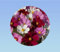 graines COSMOS SENSATION 1,5 grammes soit environ 175 graines - Cosmos bipinnatus - massif jardiniere ou pot
