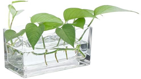 PATIKIL Vase Rectangulaire en Verre 8x4x4 Pouces, 1 Pcs Pot À Fleurs Transparent Terrarium Conteneur Fond Épaissi pour décoration De Mariage Bureau Maison Événement Fête, Transparent