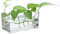 PATIKIL Vase Rectangulaire en Verre 8x4x4 Pouces, 1 Pcs Pot À Fleurs Transparent Terrarium Conteneur Fond Épaissi pour décoration De Mariage Bureau Maison Événement Fête, Transparent
