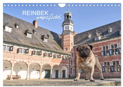 Reinbek mopsfidel (Wandkalender 2026 DIN A4 quer), CALVENDO Monatskalender: Reinbek im Sachsenwald, mit dem Mops erleben und lieben (CALVENDO Orte)
