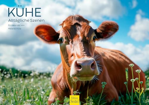 Edition Seidel Premium Kalender Kühe 2026 Format DIN A3 Wandkalender Kuhkalender Kuh Rind Kalb heimische Tiere Nartur Heide Melanie Viola