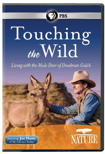 Nature: Touching the Wild Living with Mule Deer of Deadman Gulch