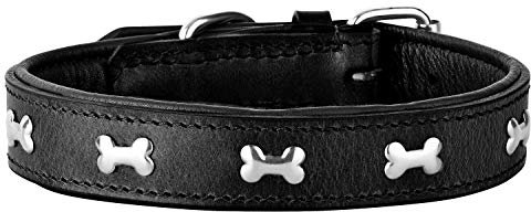 Schnüffelfreunde Lisa Halsband für Hunde aus Leder mit Applikation, Hundehalsband für den großen und mittleren Hund (XL - 46-55cm, Schwarz)