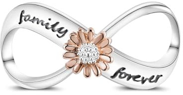 Hapour Infinity Charms passen auf Pandora-Charm-Armbänder 925 Sterling Silber Eternal Charm Family Forever Schmuckgeschenk zum Muttertag für Frauen