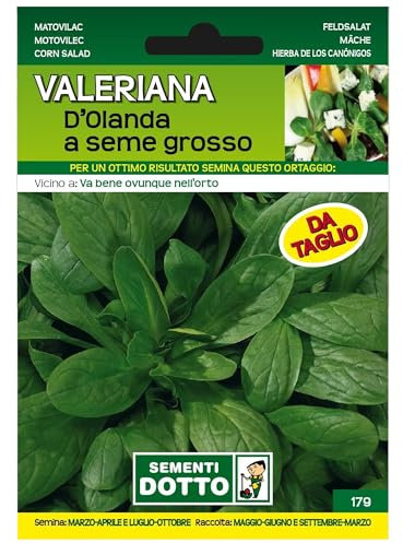 Sicignano | Semi Valeriana d’Olanda a Seme Grosso, Foglie Larghe e Spesse Colore Verde Scuro, Busta Extra - 6 Confezioni da 5.5g, Semina da Marzo a Ottobre