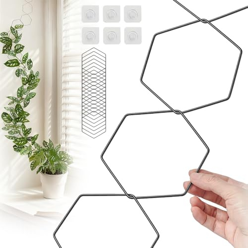 SGZIOO 18 PCS Kettenspalier Für Kletterpflanzen, Hexagon Rankgitter Mit 6 Wandhaken, Schwarz, Metall, Für Indoor Outdoor Pothos Grünpflanzen Efeu