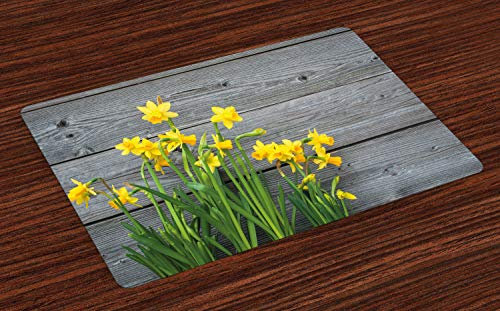 ABAKUHAUS Gelbe Blume Platzmatten, Narzissen-Blumenstrauß, Waschbare Stoff Esszimmer Küche Tischdekorations Digitaldruck, Gelb Blaugrau