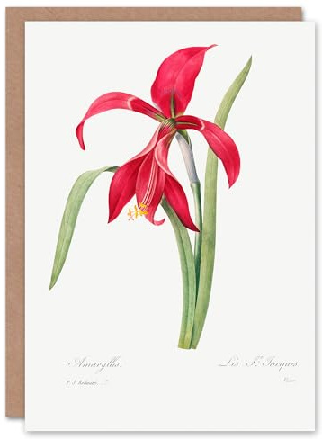 Artery8 Pierre-Joseph Redouté Art Card Amaryllis Flower Vintage Floral