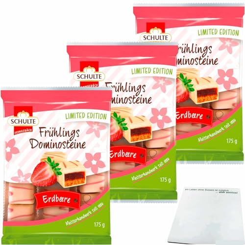 usy Bundle für Schulte Frühlings Dominosteine Erdbeere 3er Pack (3x175g Packung) + usy Block