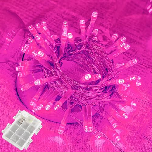 BOLWEO LED Lichterkette Batterie mit Timer, 3m 30LED Rosa Valentinstag Lichterkette Lichterkette für Outdoor Indoor Geschenkkarton,Garten Party Fenster Valentinstag Dress Up