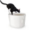 Iris Ohyama Arenero Gato Cubierto con Pala, hasta 7kg, Blanco, Caixa de areia para Gatos, Caja, para Gatos Grandes y pequeños, Cerrado, Cagadero, WC, Libre de BPA, Cat Litter Box, PUNT-530