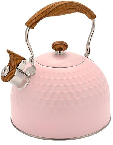 Bouilloire en acier inoxydable pour cuisinière - 2,5 l - Avec poignée ergonomique Cool-Touch - Chauffage efficace pour la maison et le camping - Idéale pour l'eau chaude et le thé - Rose