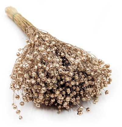 Enchanted Dekogras Getrocknetes Gras Flachs Ziergras Leinen Trockenblumen Natürlich Boho 80 Stück Gold
