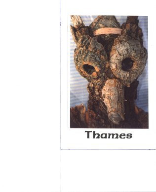 Thames - I Can Hear a Candle Burning