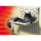 Danish Design Beige Pawprint Kumfy Kradle Cat/Kitten Machine Washable Sherpa Fleece Narrow Radiator Bed