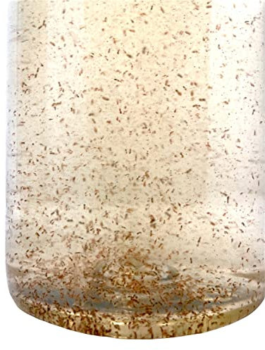 Lebendfutter Tigerpods 500ml Tiggerpods Tigriopus californicus Rädertierchen Mix Meerwasser lebendes Futter Zooplankton