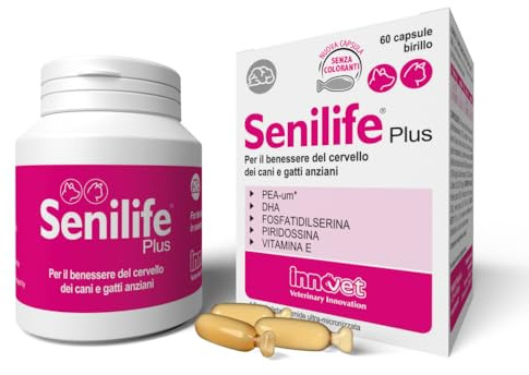 Senilife Plus Unterstützung geistiger Fitness bei älteren Hunden & Katzen | 30 PEA Kapseln für Senioren, Für normale Gehirnfunktion, Mit PEA-um, DHA aus Fischöl, Phosphatidylserin & Vitamin B6 und E