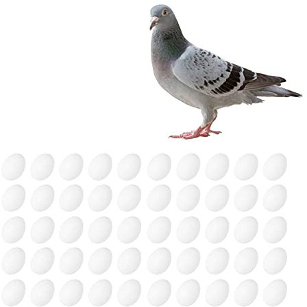 GAESHOW 50 Pcs Faux Œufs de Pigeon, Faux Œufs de Pigeon Solides, Oeufs de Pâques en pour Peindre ou Couvrir 3.8 cm, Eclosion Élevage Fournitures Faux Oeufs