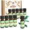 com-four® 10x duftende Öle im Set - Raumduft Natur - Duftöl für Aroma-Diffusoren, Lufterfrischer, Wasser-Verdampfer, Luft-Befeuchter (10er Set Natur)