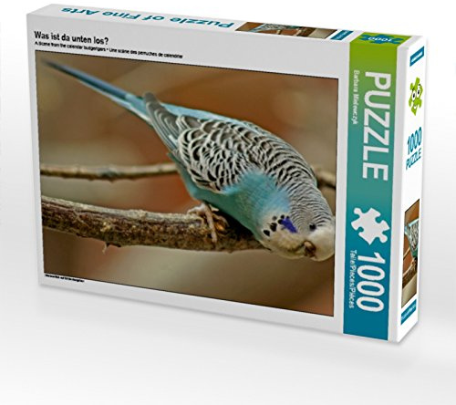 CALVENDO Puzzle was ist da unten los? 1000 Teile Puzzle quer | Lege-Größe cm Foto-Puzzle für glückliche Stunden