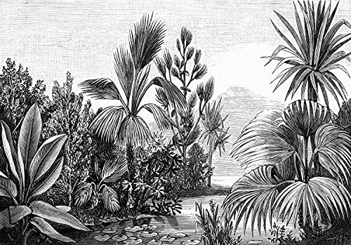 papier peint panoramique paysage tropical noir et blanc 400 x 279 cm - ESTAhome