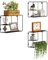 EUGAD eckiges Wandregal 3er Set, Metall, klappbares Metallregal, Hängeregal mit 3 Ablageplatten, industrielle Wanddeko für Wohnzimmer Schlafzimmer Küche Badezimmer, 38x25,5x11,5 cm