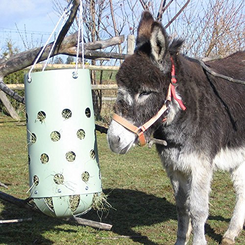 HeuToy Mini (für Esel, Ziege, Schafe, kleine Ponys) (Bausatz), statt Heuraufe