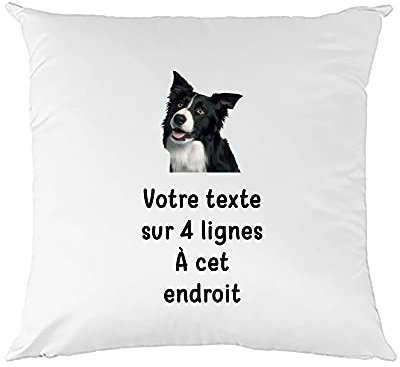 Mygoodprice Kissen, zweifarbig, Piktogramm Border Collie mit Text – 40 x 40 cm