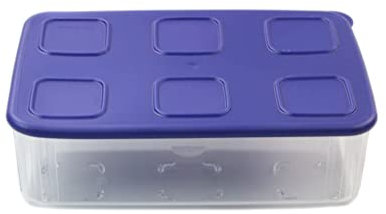 Tupperware Récipient Clear Mates pour réfrigérateur Bleu clair 1,6 l