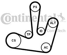 Contitech 6PK1795K1 Kit Courroie Multi V Continental