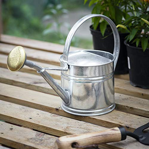CKB LTD Arrosoir d'extérieur en métal galvanisé avec rosace en laiton - Pour grands petits jardins, fleurs et plantes - Résistant à la rouille - 1,5 l